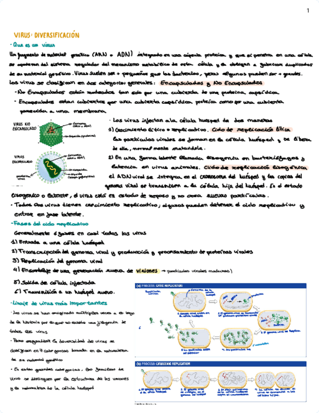 Miniatura del documento TEMA-9.pdf