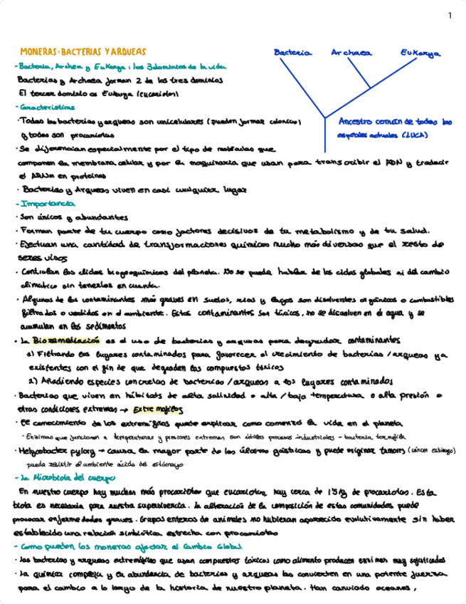 Miniatura del documento tema-10.pdf