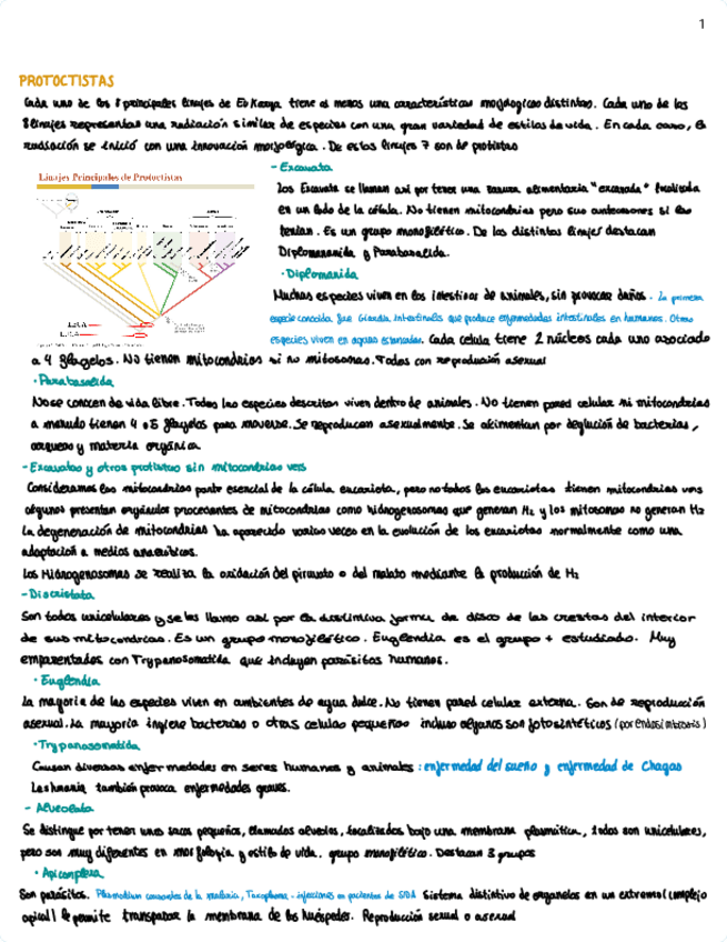 Miniatura del documento Tema-11.pdf