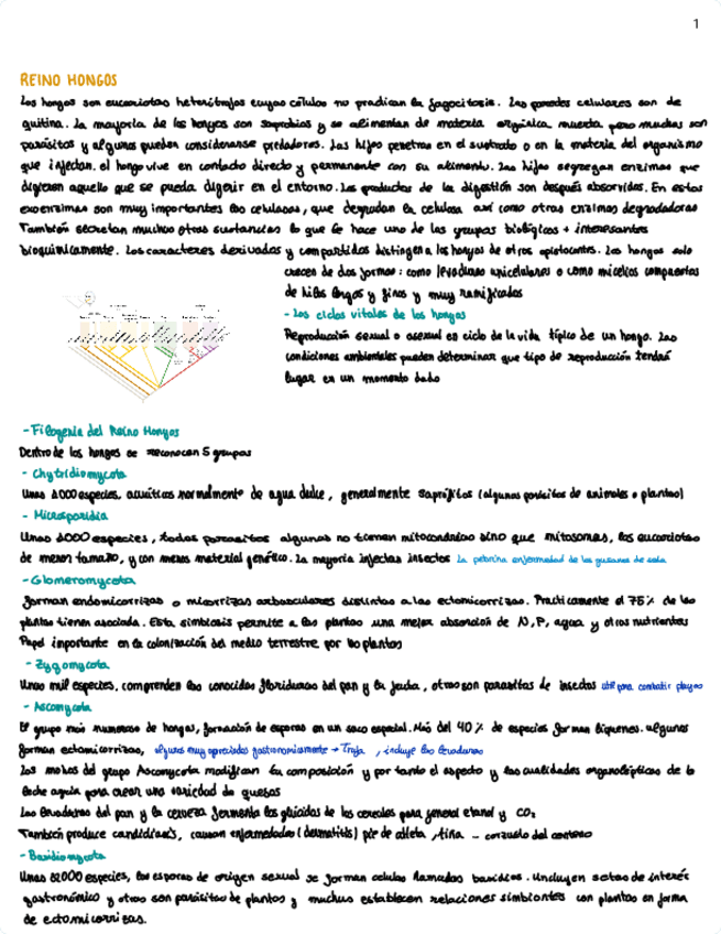 Miniatura del documento TEMA-12.pdf