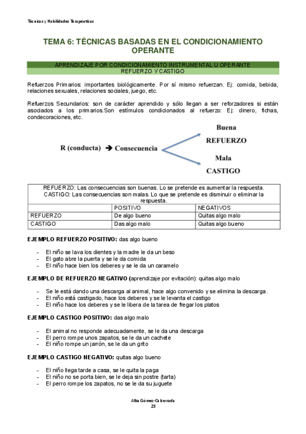 Miniatura del documento Tema-6.-Tecnicas-y-Habilidades-Terapeuticas.pdf