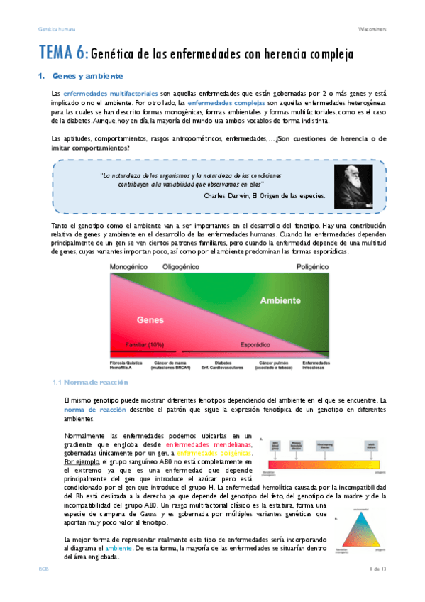 Miniatura del documento TEMA-6.pdf