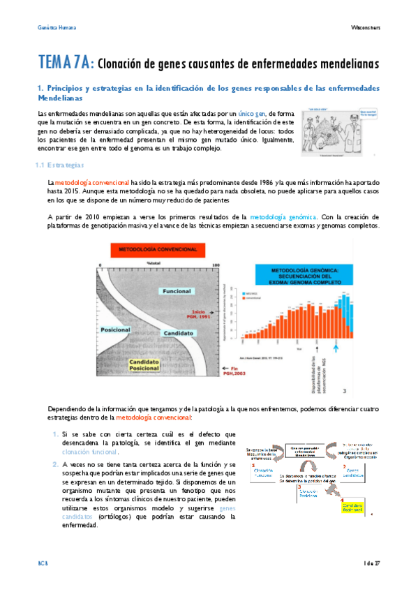 Miniatura del documento TEMA-7A.pdf