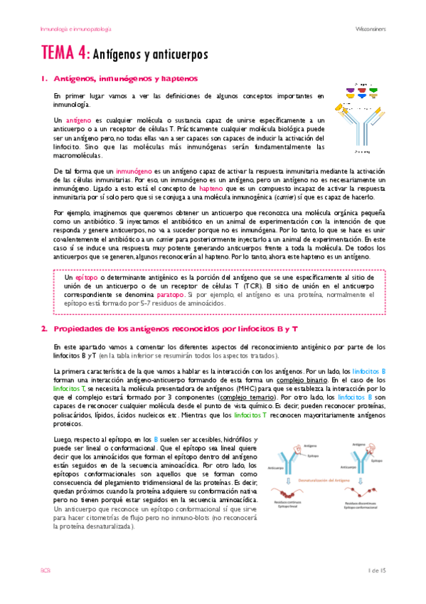 Miniatura del documento TEMA-4.pdf