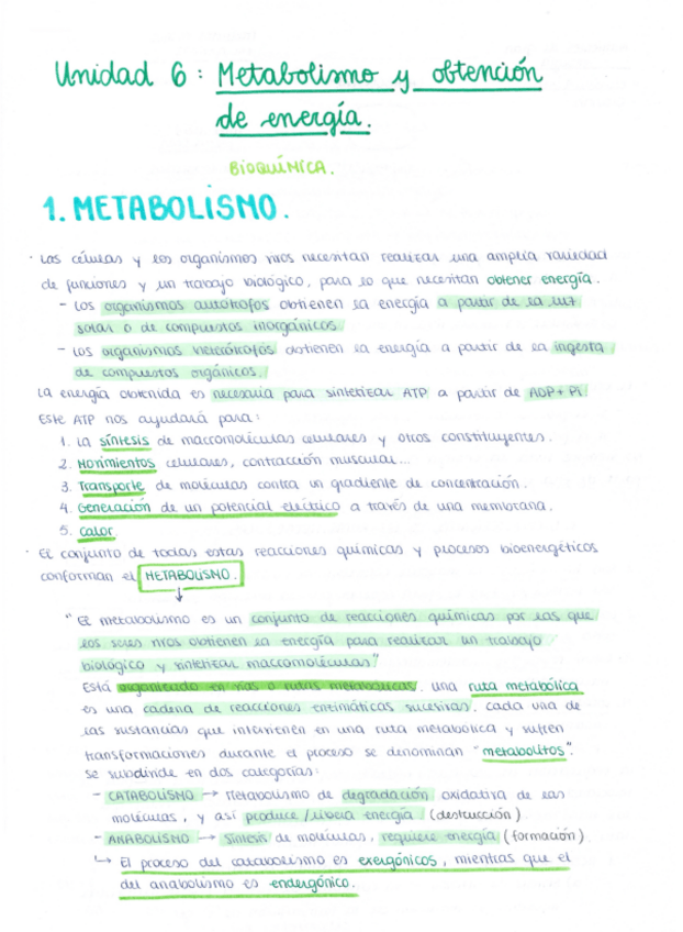 Miniatura del documento Unidad 6. Metabolismo y obtención de energía.pdf