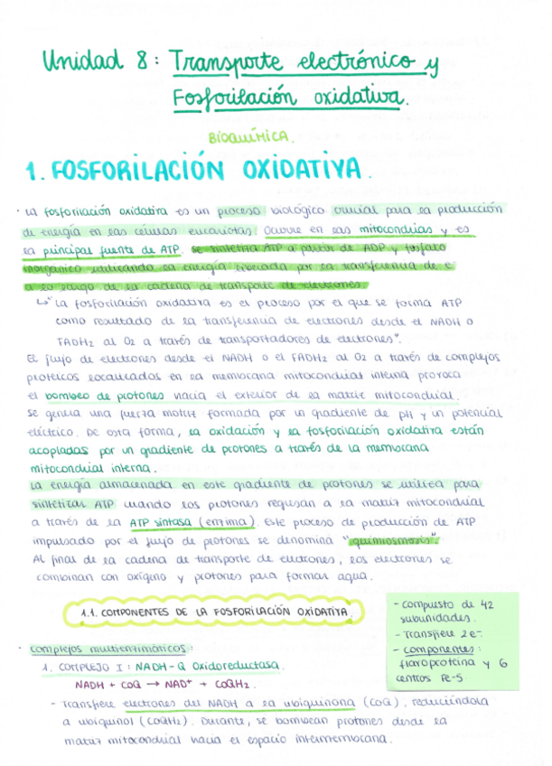 Miniatura del documento Unidad 8. Transporte electrónico y Fosforilación oxidativa.pdf