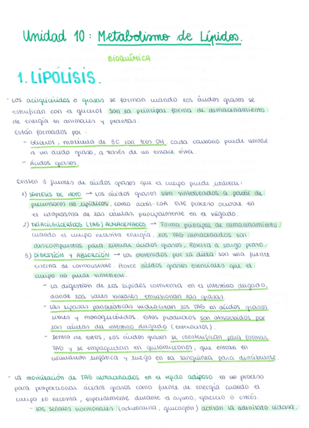 Miniatura del documento Unidad 10. Metabolismo de Lípidos.pdf