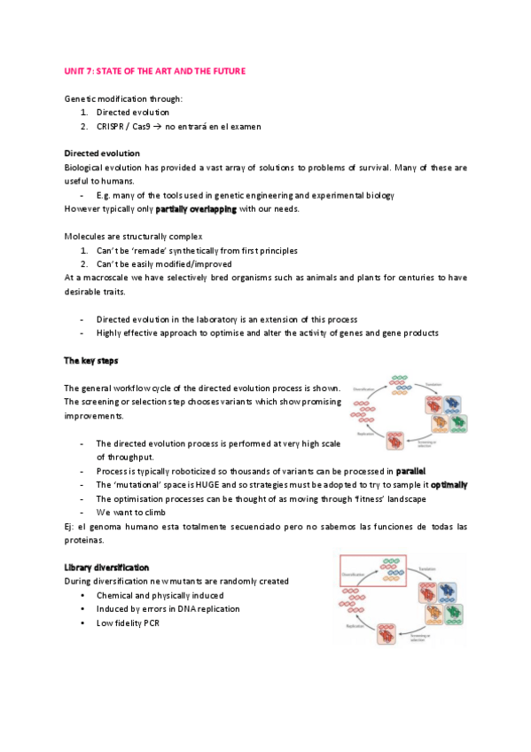 Miniatura del documento Unit-7-State-of-the-art-and-the-future.pdf