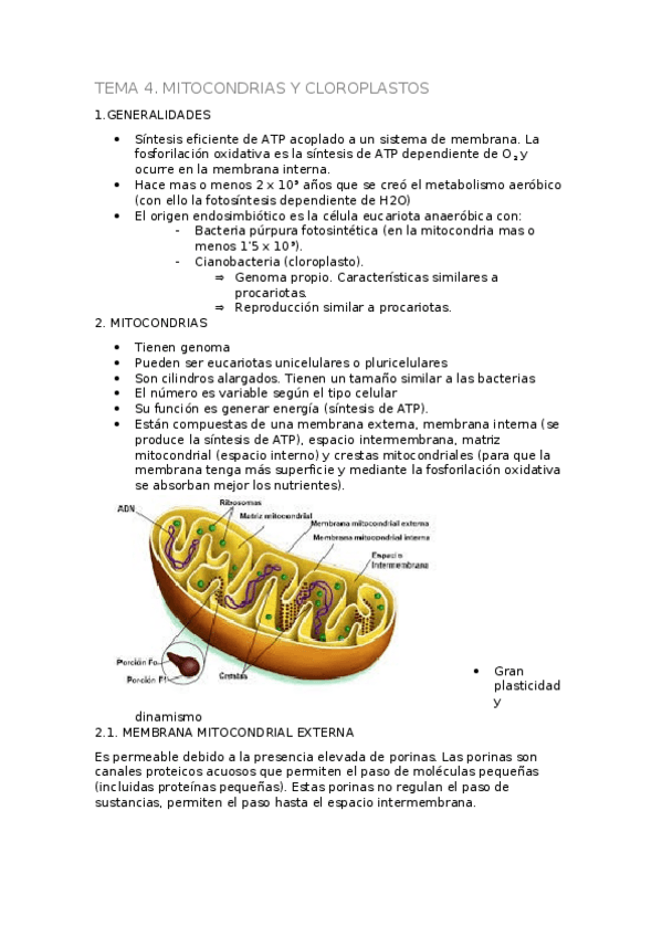 Miniatura del documento TEMA 4.docx