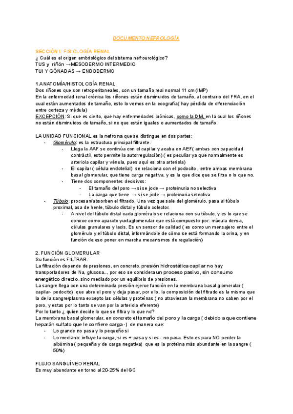 Miniatura del documento DOCUMENTO-NEFRO.pdf