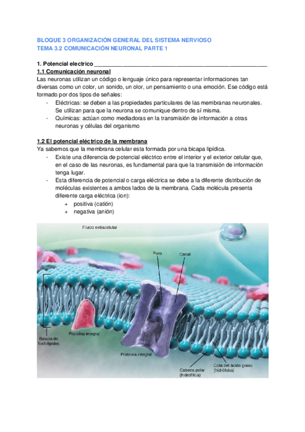 Miniatura del documento BLOQUE-3.2.docx