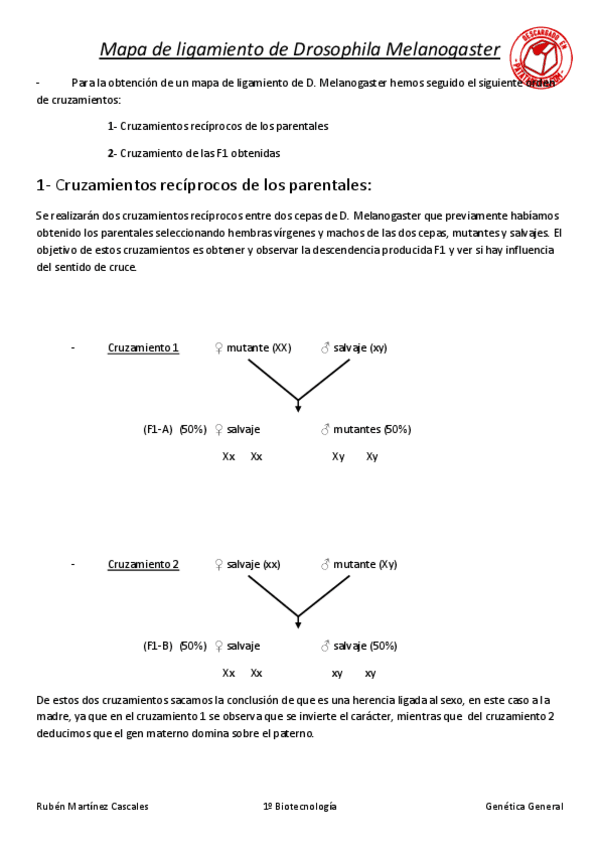 Miniatura del documento MAPA LIGAMIENTO DROSOPHILA.pdf