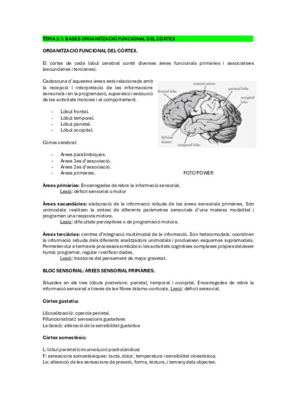 Miniatura del documento NEUROPSICO-TEMA-3.1..pdf