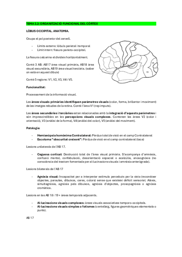 Miniatura del documento NEUROPSICO-TEMA-3.2..pdf