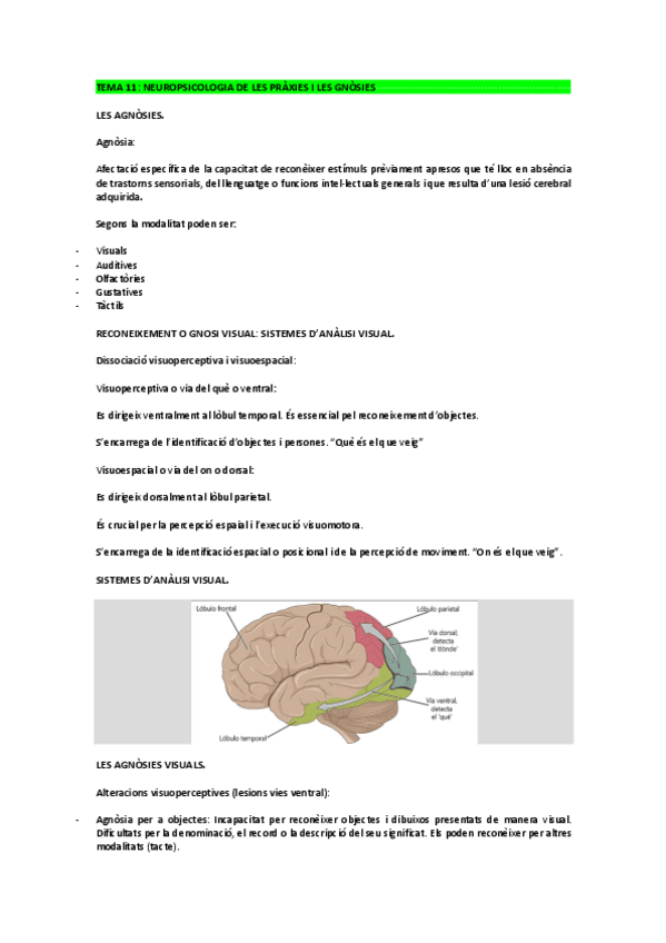Miniatura del documento NEUROPSICO-TEMA-11.pdf