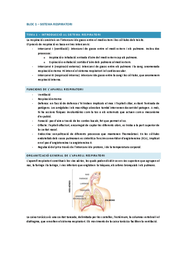Miniatura del documento apunts-tot-fisio-III.pdf