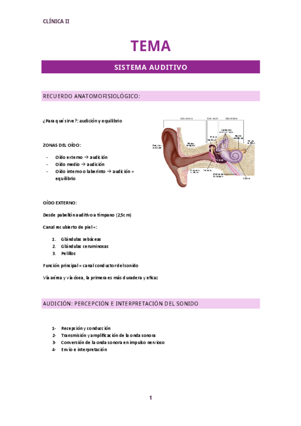 Miniatura del documento Clinica-II-tema-4.-Apuntes-sistema-auditivo.pdf