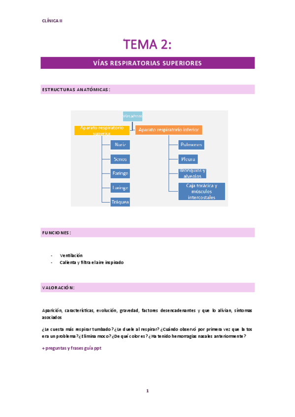 Miniatura del documento Clinica-II-tema-2.-Apuntes-tema-vias-respiratorias.pdf