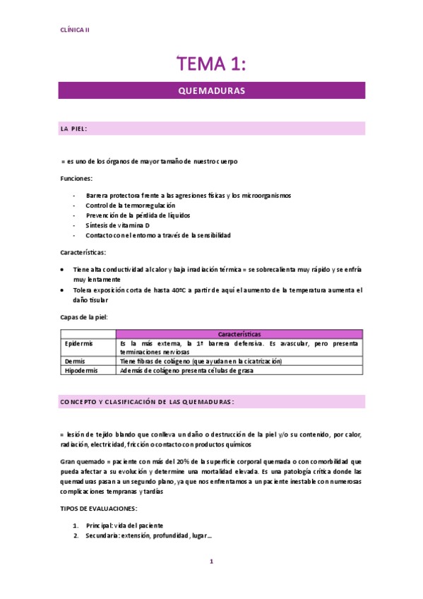 Miniatura del documento Clinica-II-tema-1.-Apuntes-tema-quemaduras.pdf