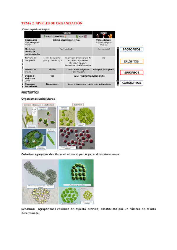 Miniatura del documento Botanica-I.pdf