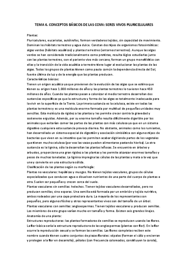 Miniatura del documento TEMA-6.pdf