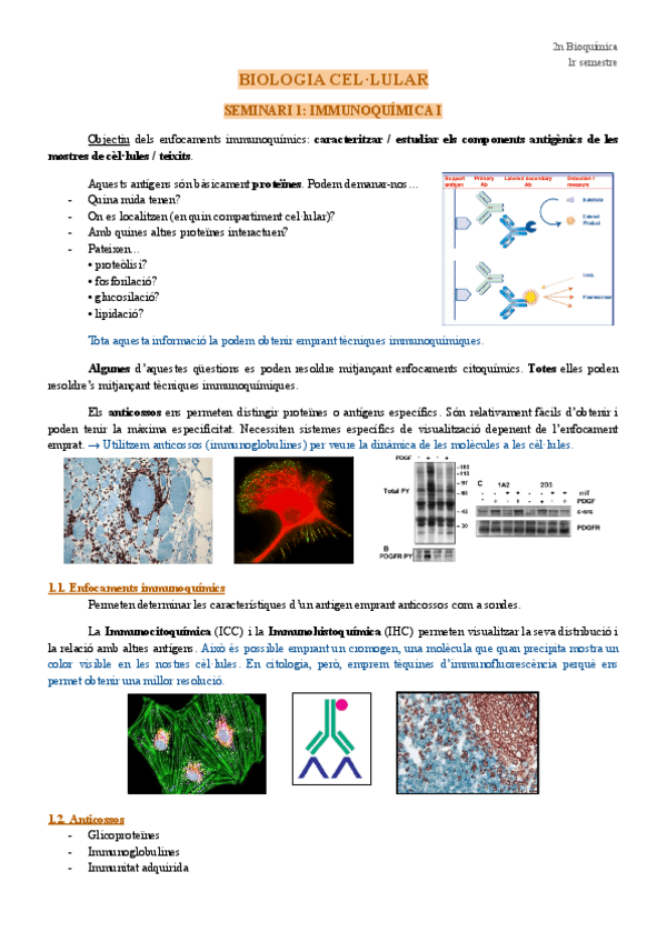 Miniatura del documento SEMINARIS-immunoquimica.pdf
