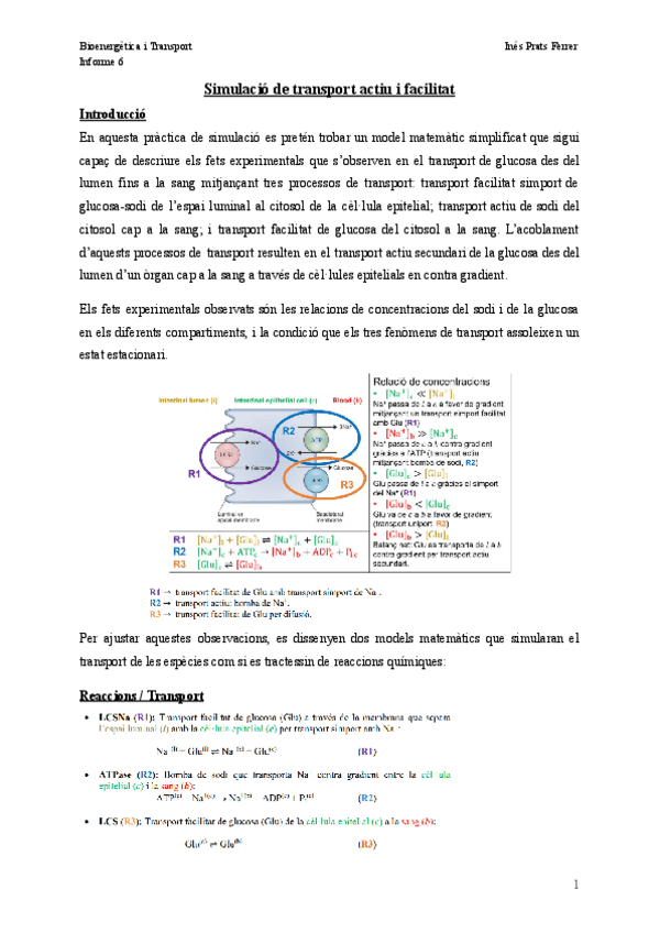 Miniatura del documento Practica-6.pdf