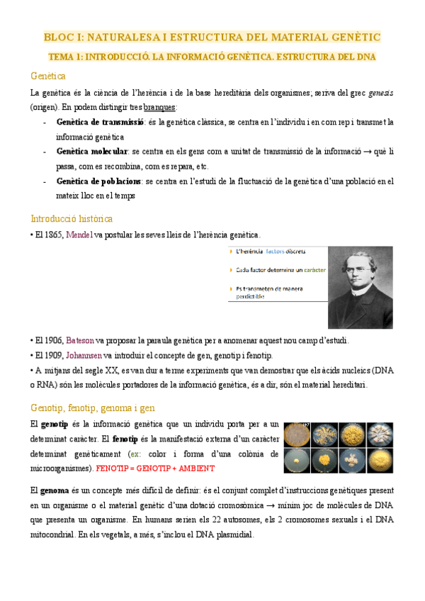 Miniatura del documento BLOC-I.pdf