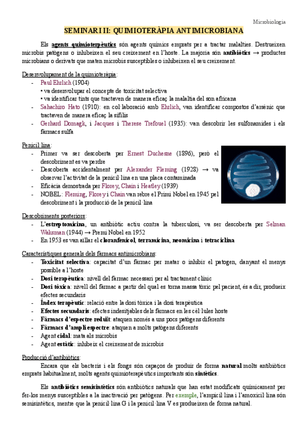 Miniatura del documento Seminari-2-Resistencia-a-antibiotics.pdf
