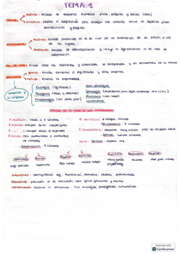 Miniatura del documento Resumen-temas-patologia-2324.pdf