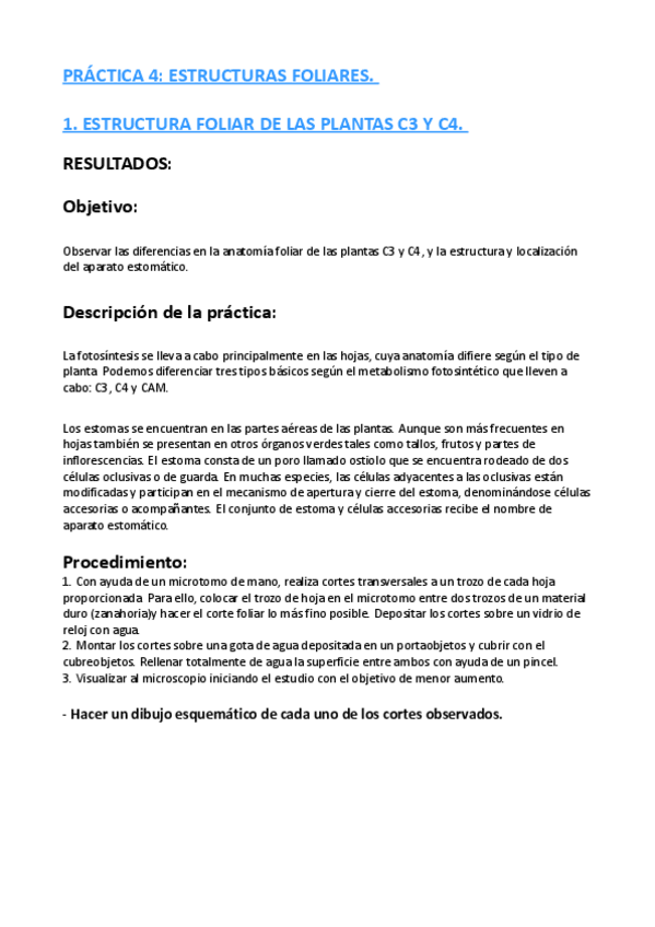 Miniatura del documento PRACTICA-4.pdf