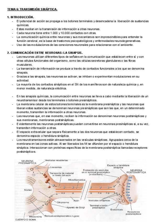 Miniatura del documento TEMA-6-PSICOBIOLOGIA.pdf