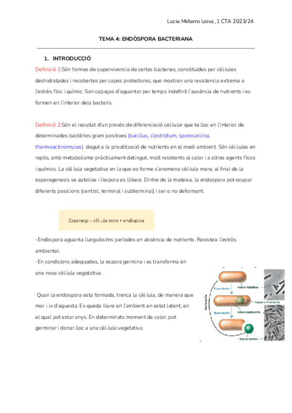 Miniatura del documento T4-ENDOSPORA-1.pdf