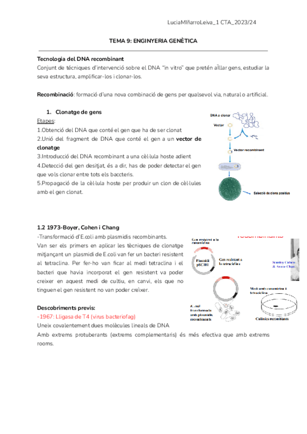 Miniatura del documento T9-Enginyeria-genetica-1.pdf