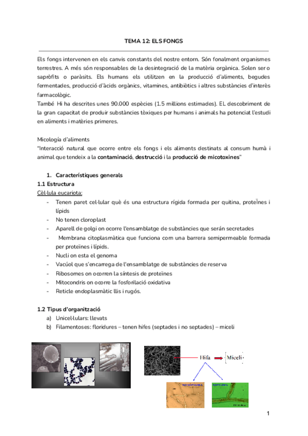 Miniatura del documento Tema-12-Fongs-1.pdf