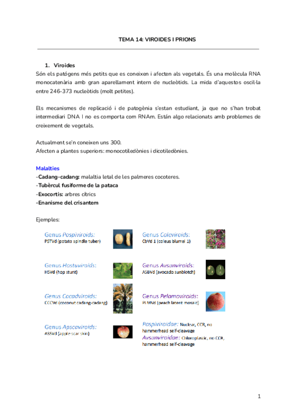 Miniatura del documento Tema-14-Viroides-i-Prions-1.pdf