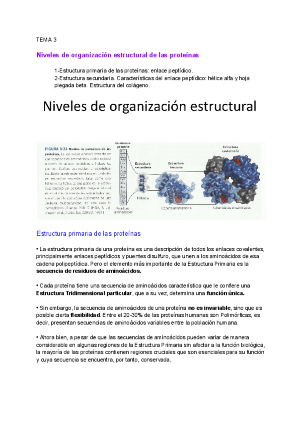 Miniatura del documento Bioquimica-Tema-3.pdf