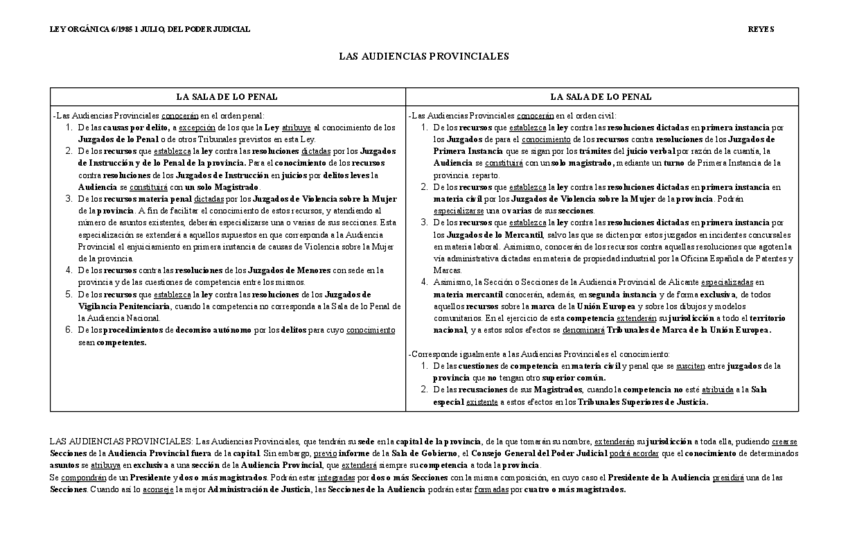 Miniatura del documento Las-Audiencias-Provinciales.pdf