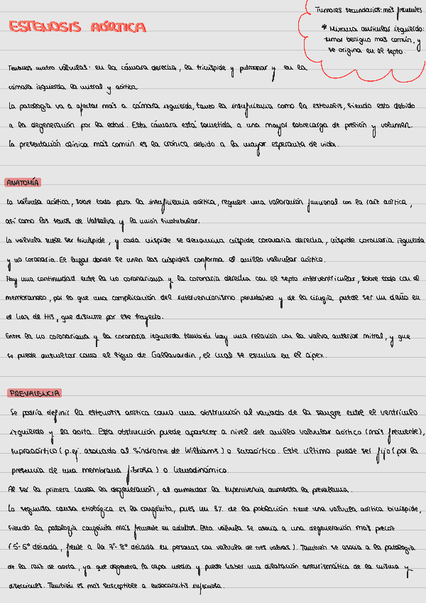 Miniatura del documento Estenosis-aortica.pdf