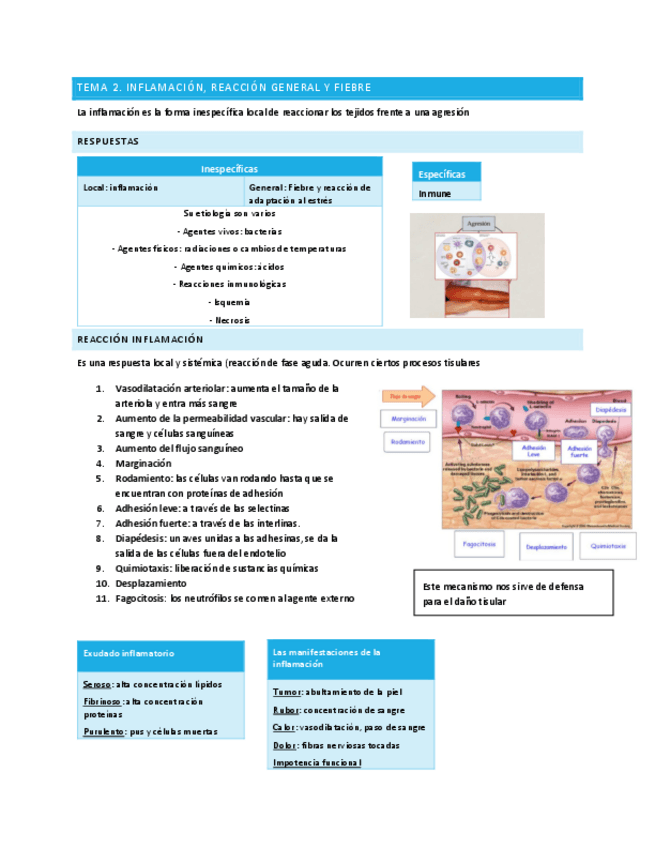 Miniatura del documento Tema-2-fisiopatologia.pdf
