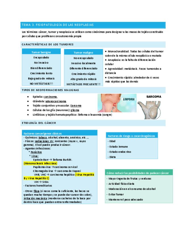 Miniatura del documento Tema-3-fisiopatologia.pdf