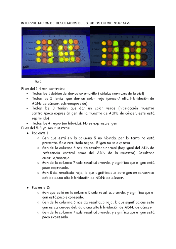 Miniatura del documento INTERPRETACION-DE-RESULTADOS-DE-ESTUDIOS-EN-MICROARRAYS.pdf