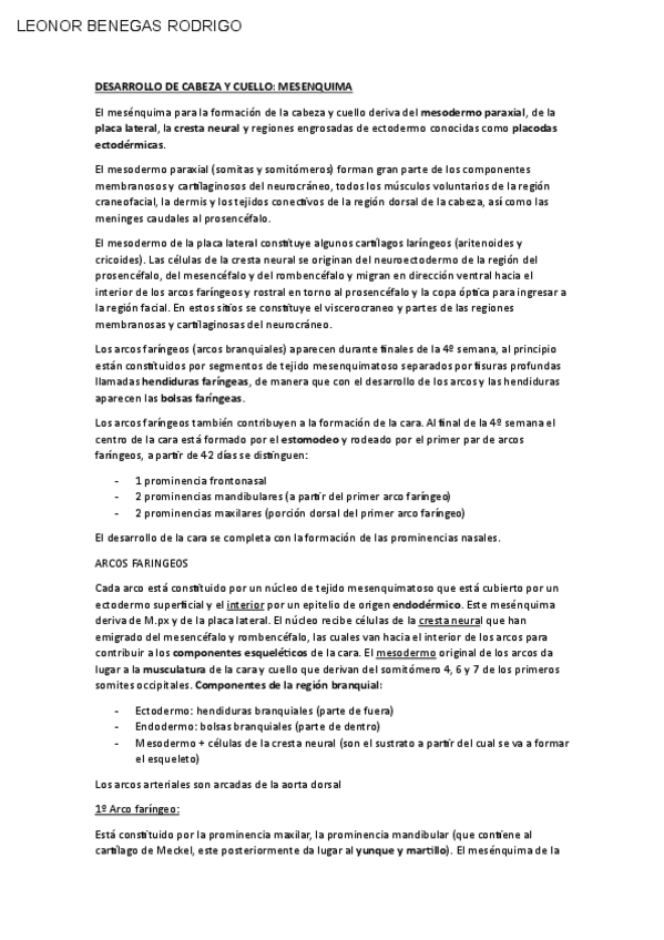 Miniatura del documento CARA.pdf