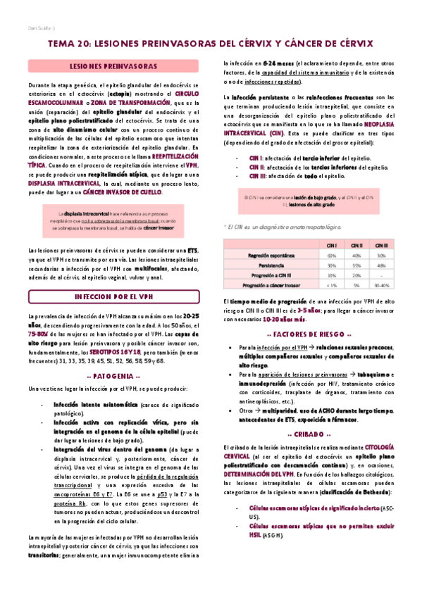 Miniatura del documento T20-Lesiones-preinvasoras-del-cervix-y-cancer-de-cervix.pdf
