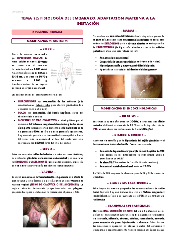 Miniatura del documento T22-Fisiologia-del-embarazo.pdf