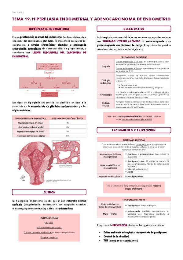 Miniatura del documento T19-Hiperplasia-endometrial-y-adenocarcinoma-de-endometrio.pdf