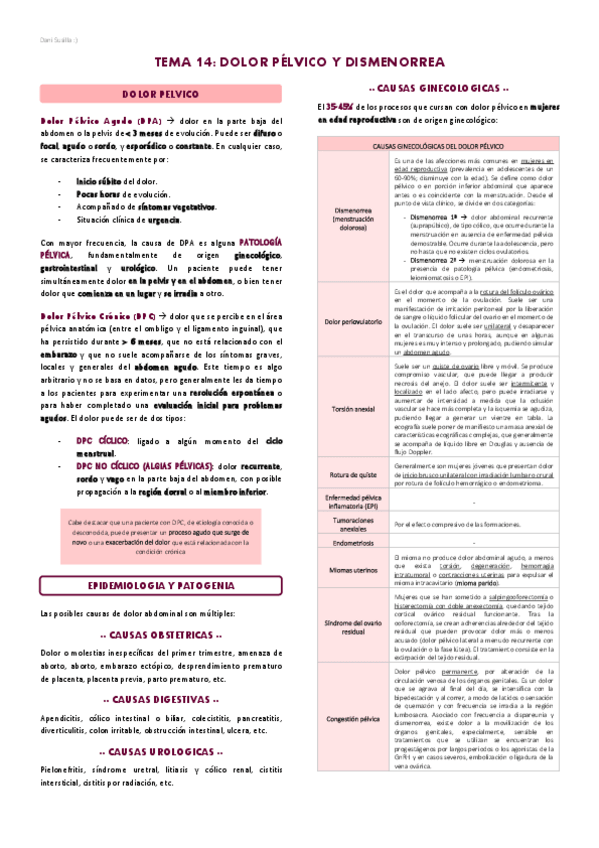 Miniatura del documento T14-Dolor-pelvico-y-dismenorrea.pdf