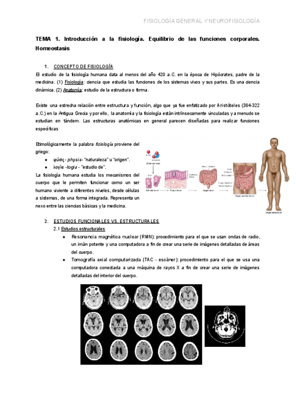 Miniatura del documento TEMA-1.-INTRODUCCION-A-LA-FISIOLOGIA.-EQUILIBRIO-DE-LAS-FUNCIONES-CORPORALES-HOMEOSTASIS.pdf