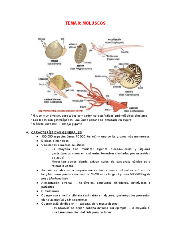 Miniatura del documento ZOOLOGIA-TEMA-8.pdf