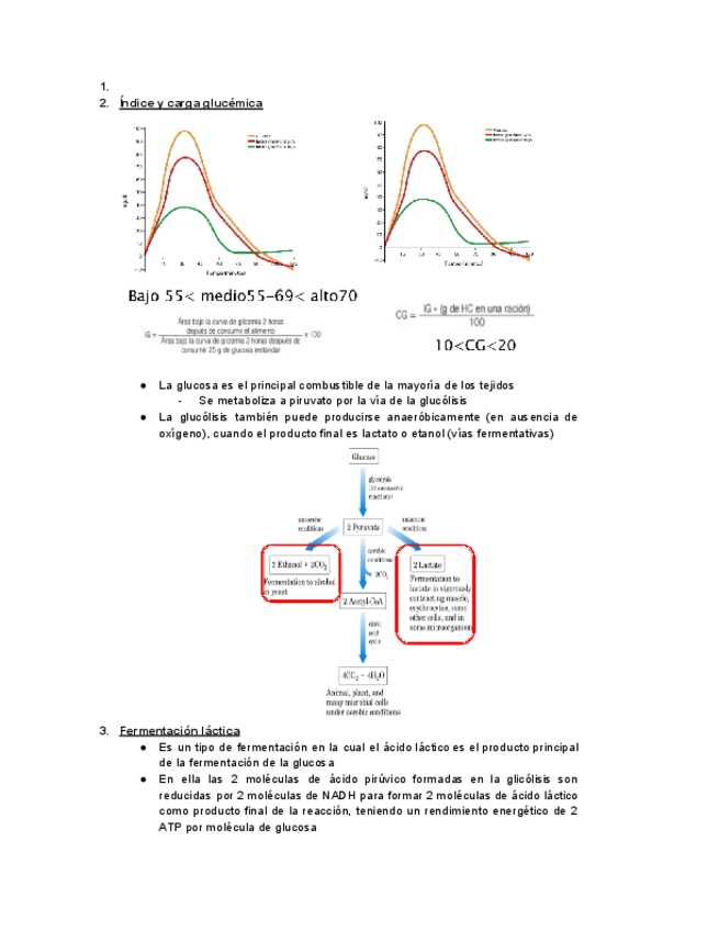 Miniatura del documento BIOQUIMICA-TEMA-6-SEGUNDA-PARTE.pdf